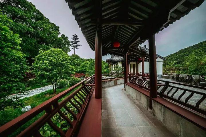 代表委员说|陈智泉：健全配送服务体系 助推“互联网+医疗”发展