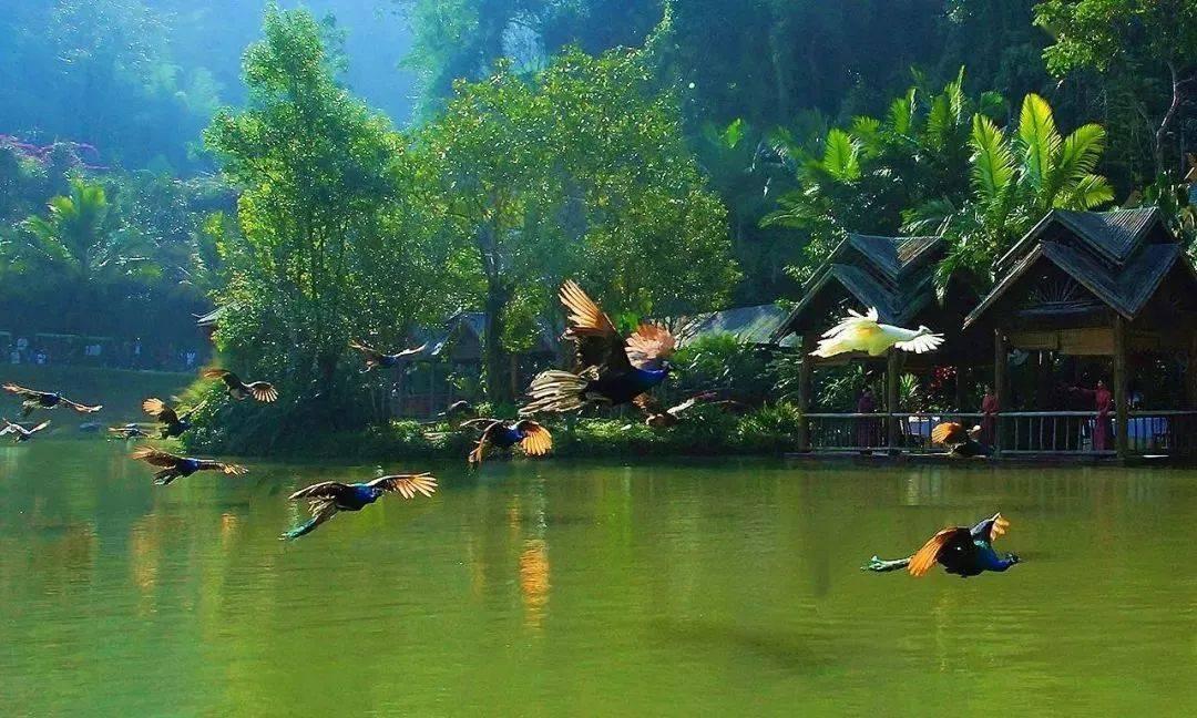 读懂“桑基鱼塘”的农业智慧