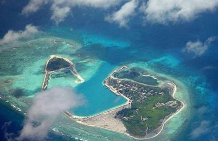 「深入了解高倍显微镜可以通过照片检查吗?知识星球,全面众多专家的知识共享平台」