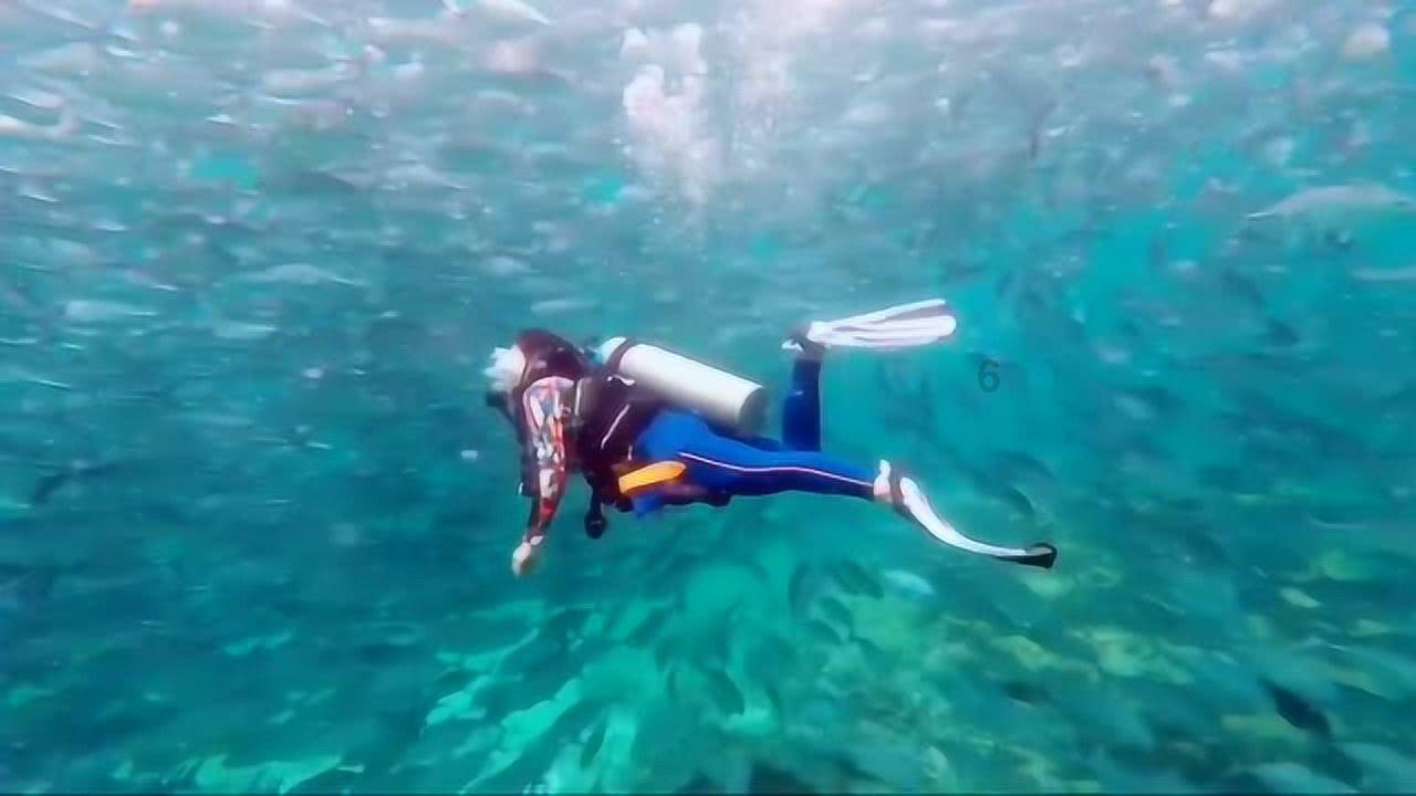 土耳其一意大利教堂遭武装袭击致一人身亡