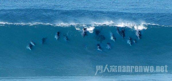 厦门海洋碳汇交易走在全国前列
