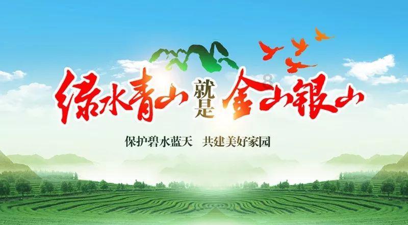 拯救卡通獾