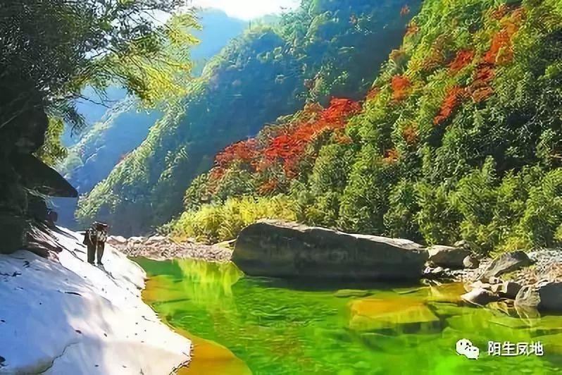厨师炒菜最后放的“明油”是什么油？武家教你制作过程，收藏了游戏画面